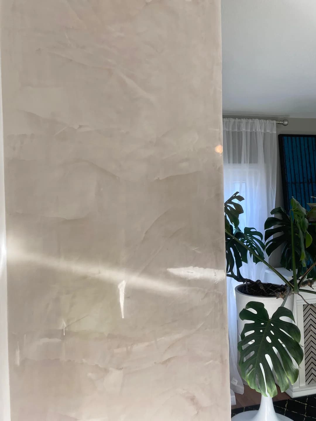 Venetian plaster wall with natural light and plants