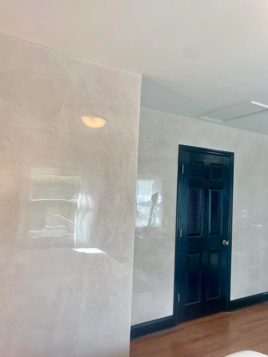 Polished Venetian plaster with door